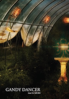 issue 13.1 cover image