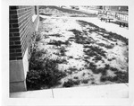 Exterior of new dorms with snow on the ground and benches on sidewalk by SUNY Geneseo