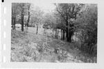 A grassy Lot in Geneseo, N.Y. by SUNY Geneseo