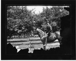 Wadsworth on Horse, Geneseo, N.Y. by SUNY Geneseo