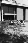 Milne Library by SUNY Geneseo