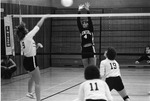 Volleyball 02 by SUNY Geneseo