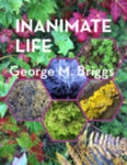 Inanimate Life by George Briggs