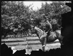 Wadsworth on Horse, Geneseo, N.Y.